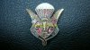 DSC08112-1.jpg