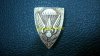 DSC08106-1.jpg