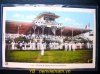 IMG_0827-1.jpg