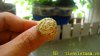 DSC04686-1.jpg