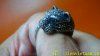 DSC04410-1.jpg
