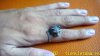 DSC04413-1.jpg