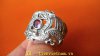 DSC05215-1.jpg