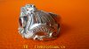 DSC05216-1.jpg
