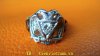 DSC05206-1.jpg